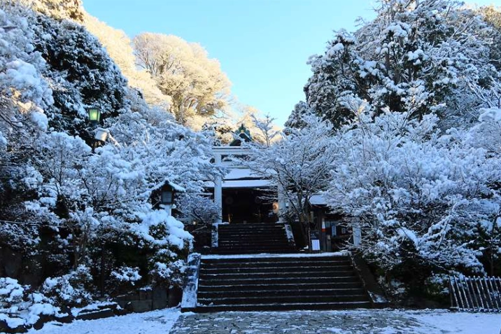 鎌倉冬季旅遊 鎌倉冬季旅遊