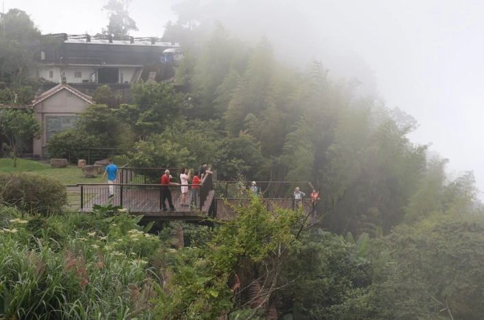 阿里山帶寵物旅遊