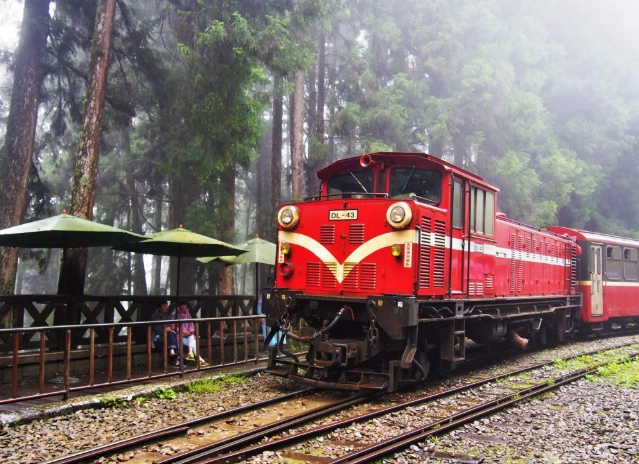 阿里山開車攻略
