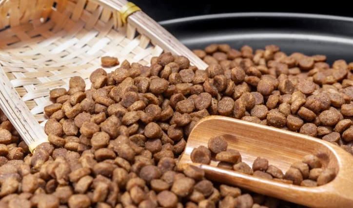 狗飼料品牌排名