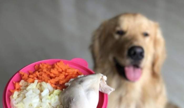 狗狗吃雞胸肉份量