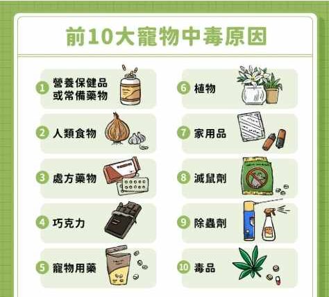 狗狗藥物中毒