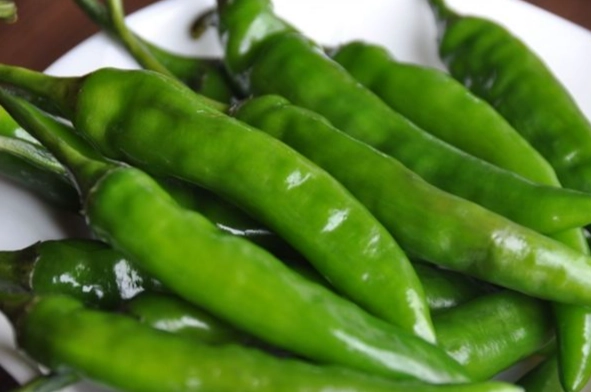 青辣椒會辣嗎