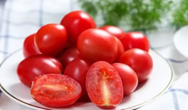 狗能吃圣女果吗