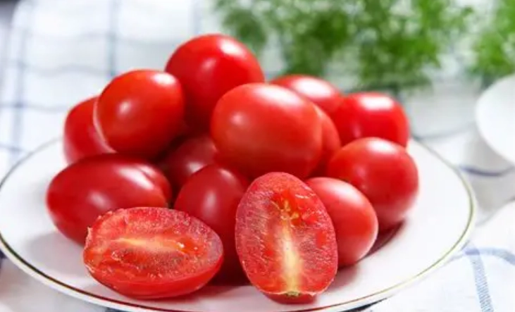 狗能吃圣女果吗？安全喂食指南與風險解析