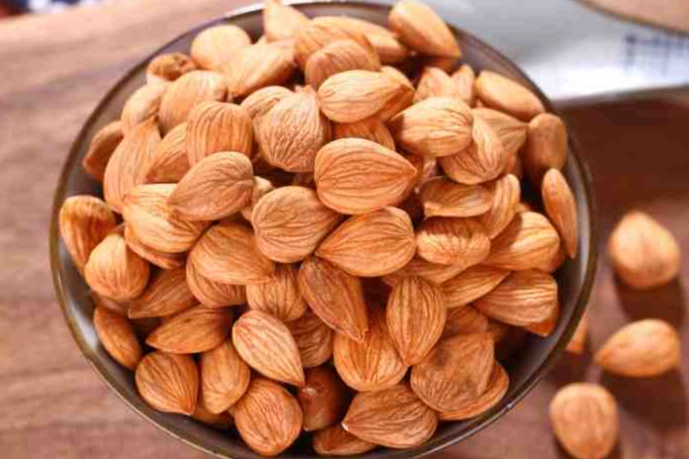 狗吃杏仁安全嗎？完整風險分析與飼主必讀指南