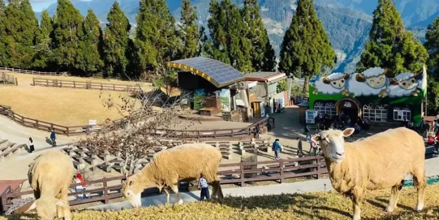 清境農場開車方便嗎