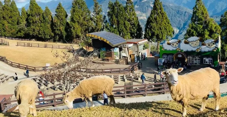 清境農場開車方便嗎？自駕遊路線、停車、路況全攻略