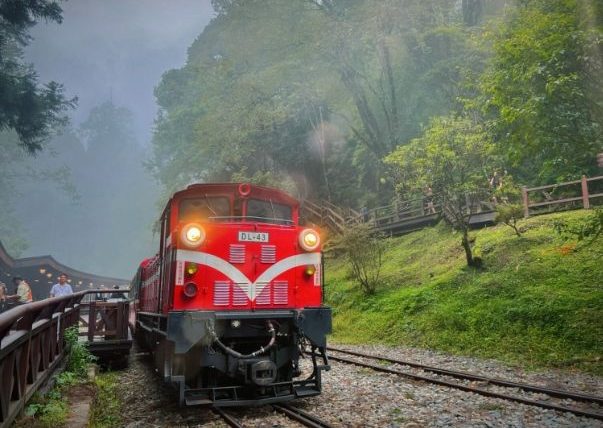 阿里山不開車怎麼玩