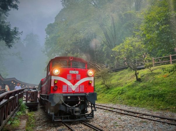 阿里山不開車怎麼玩？完整交通攻略與自由行指南