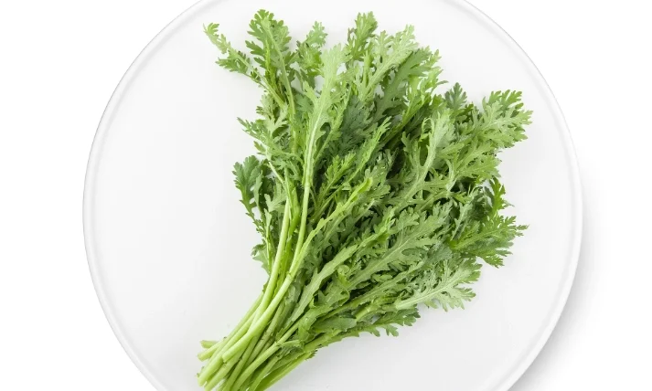 狗狗可以吃茼蒿嗎