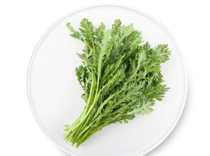 狗狗可以吃茼蒿嗎？獸醫完整解析餵食指南與風險