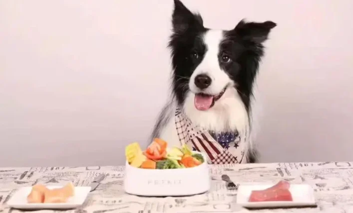 對狗狗皮膚好的食物