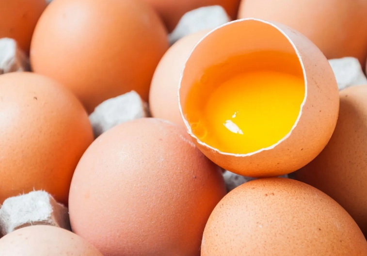 狗可以吃蛋黃嗎？安全餵食指南與營養專家建議