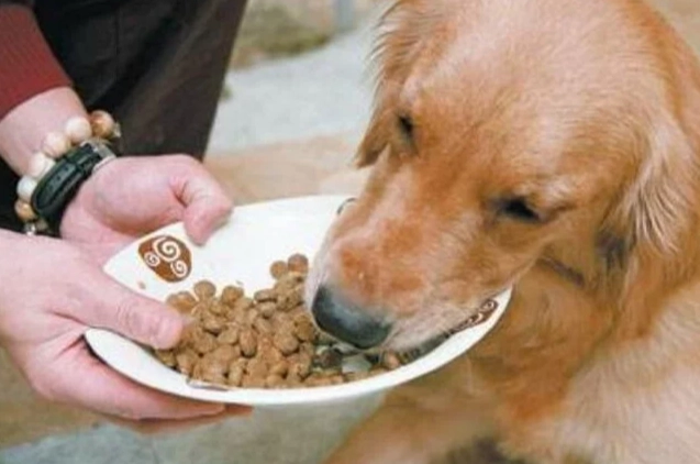 狗狗吃蛋黃還是蛋白