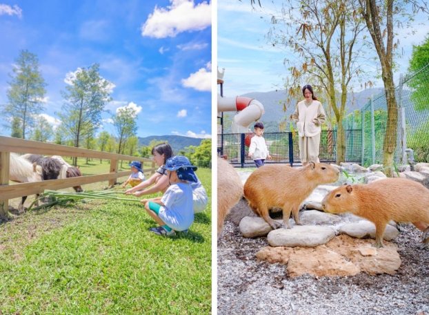 宜蘭推薦農場：五大親子農場深度體驗與實用攻略