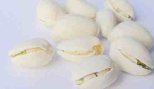 基隆燒肉生蠔吃到飽