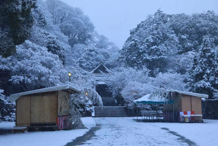 鎌倉下雪全攻略：冬季必訪雪景景點、交通與拍照技巧