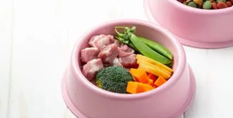 狗吃飼料還是鮮食好