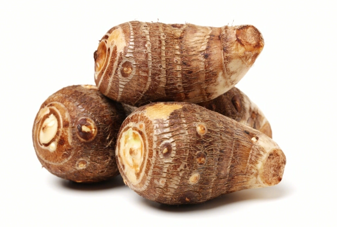 貓可以吃芋頭嗎？獸醫解析芋頭對貓咪的風險與安全指南