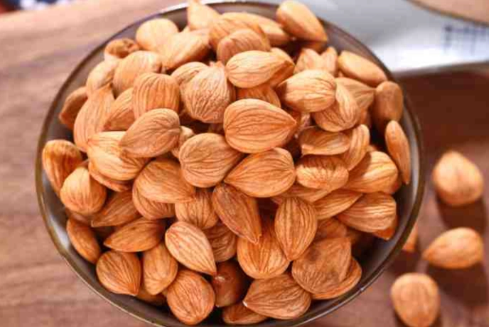 狗可以吃杏仁嗎？獸醫解析風險、安全餵食與常見疑問