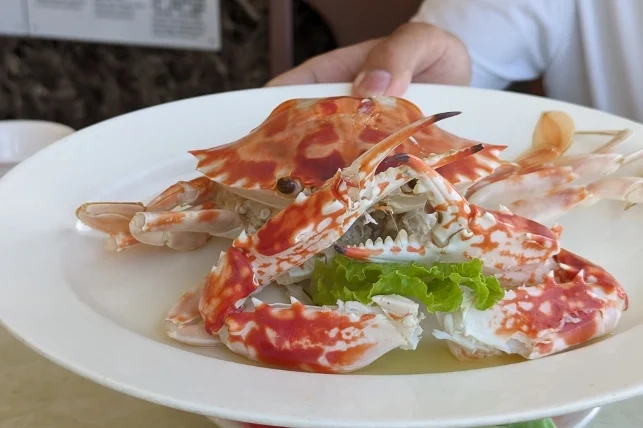 龜吼漁港餐廳評分最高