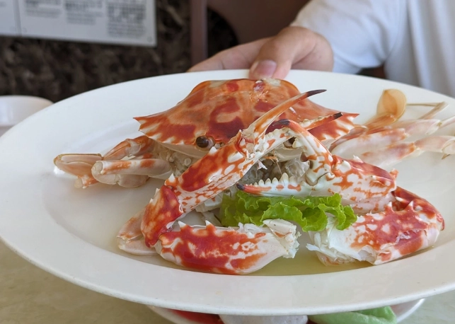 龜吼漁港餐廳評分最高：海鮮老饕的真實評價與必吃清單
