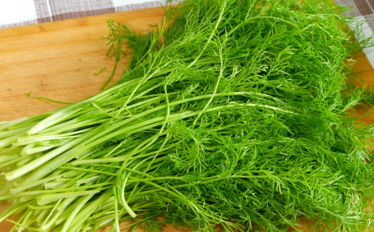 茴香味道全攻略：從討厭到愛上的神奇轉變與實用料理技巧