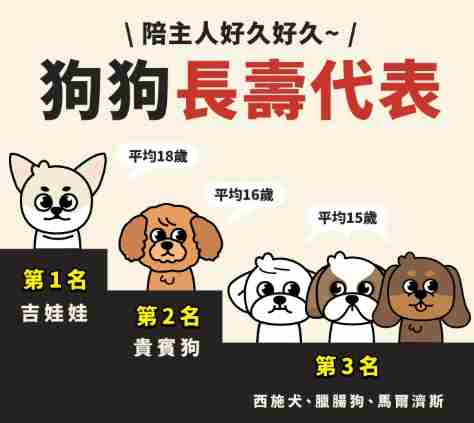 寵物壽命排名