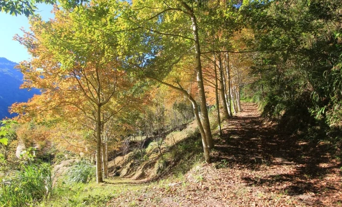 比該溪生態露營區