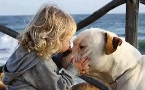 如何讓狗狗喜歡你