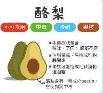 狗狗可以吃酪梨油嗎