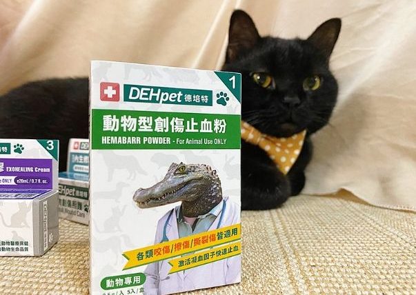 被貓抓傷擦什麼藥