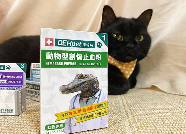 被貓抓傷擦什麼藥？完整急救步驟與藥膏推薦指南