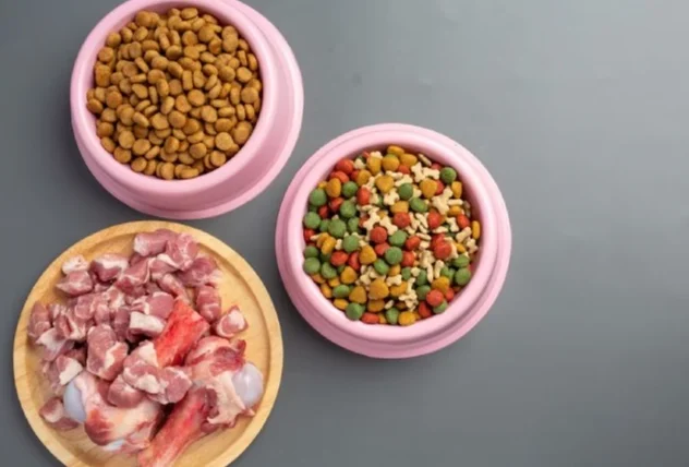 狗狗食量計算器