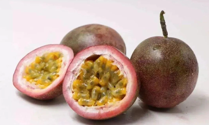 狗百香果：寵物健康新革命？完整指南與實用秘訣大公開