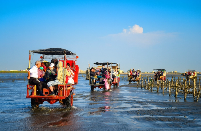 嘉義採蚵體驗全攻略：預約、地點、技巧與行程規劃