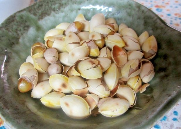 銀杏食譜大全：從基礎處理到創意料理的完整指南