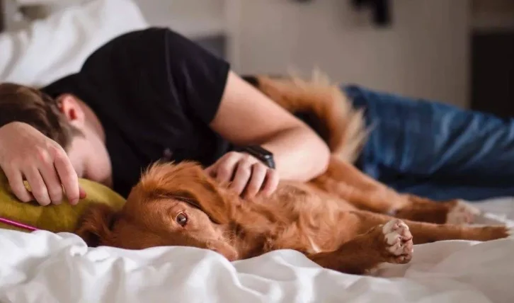 狗狗一直咳嗽吐痰