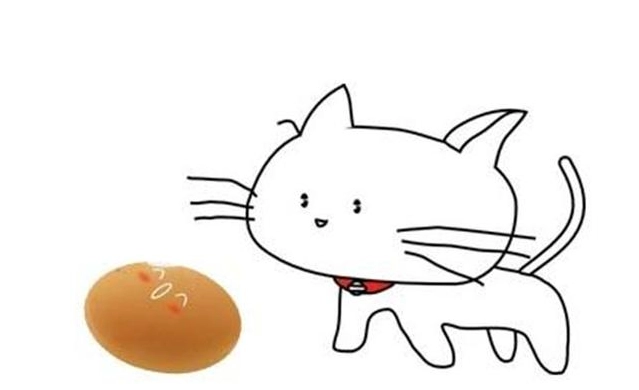 貓可以吃水煮蛋嗎