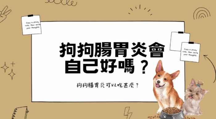 狗狗腸胃炎可以喝舒跑嗎