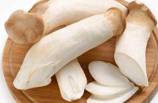 狗狗可以吃杏鮑菇嗎