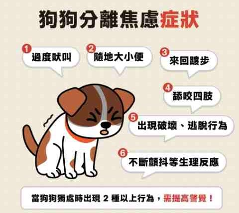 狗狗分離焦慮症原因