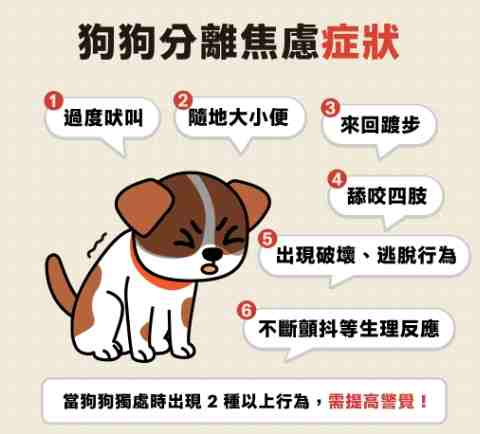 狗狗分離焦慮症原因全解析：從遺傳到環境的深度探討