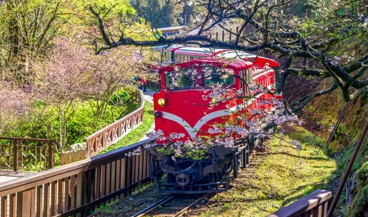 阿里山開車好開嗎