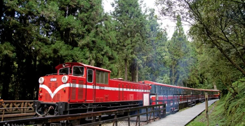 阿里山開車兩天一夜