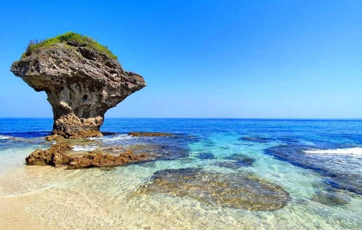 小琉球花季全攻略：三大賞花秘境、交通與拍照技巧一次看