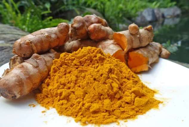 三高可以吃薑黃嗎