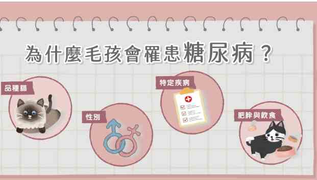 貓糖尿病成因