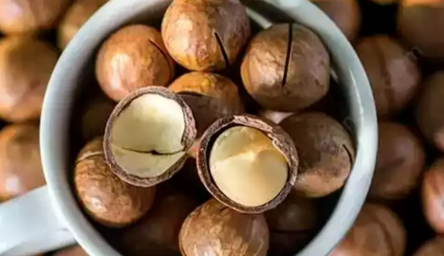 狗狗可以吃夏威夷果嗎